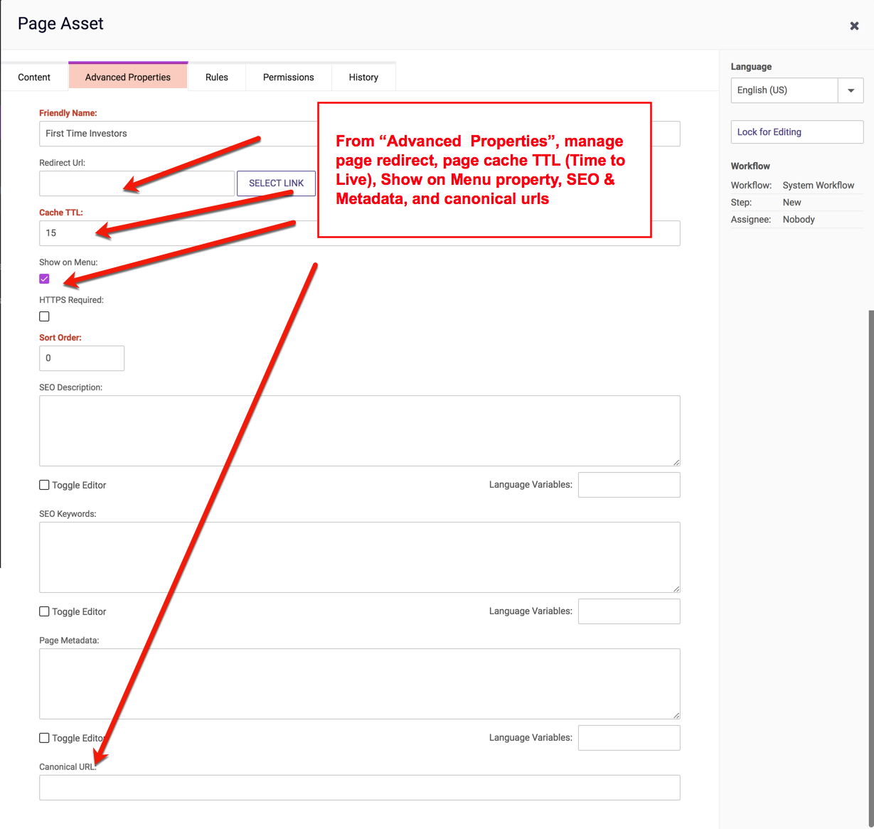 Advanced Properties available on a default Page Asset